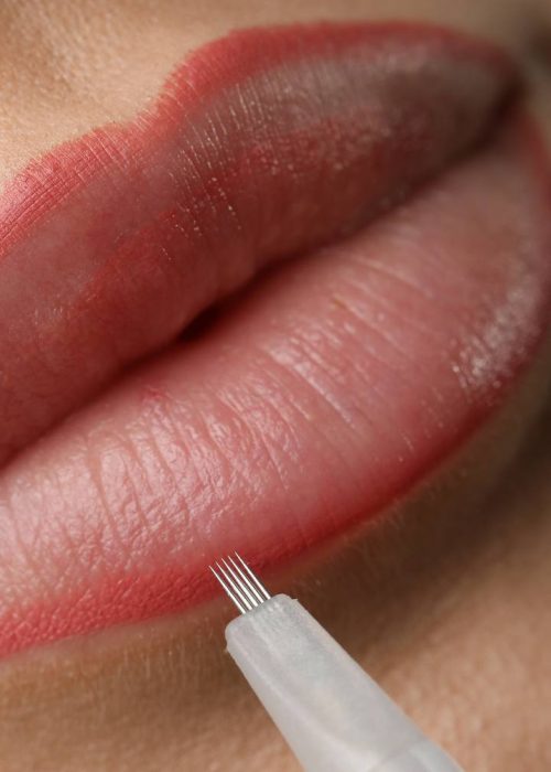 LIPs 2